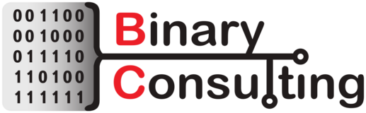 Binary Consulting